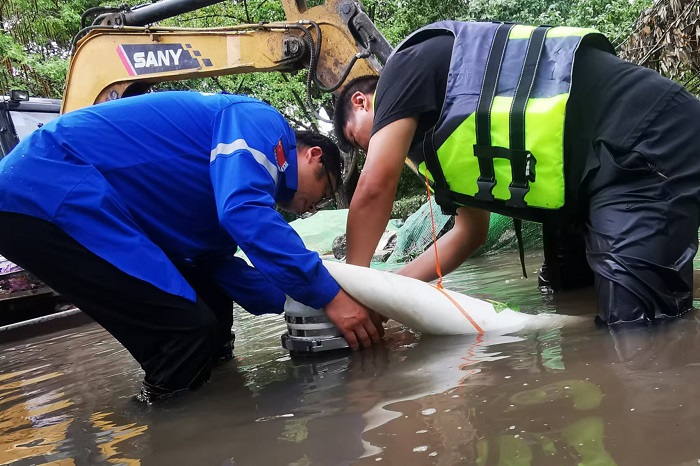 1724292548891130.jpg 11-700.jpg